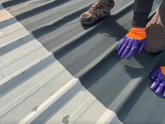 ���S������������